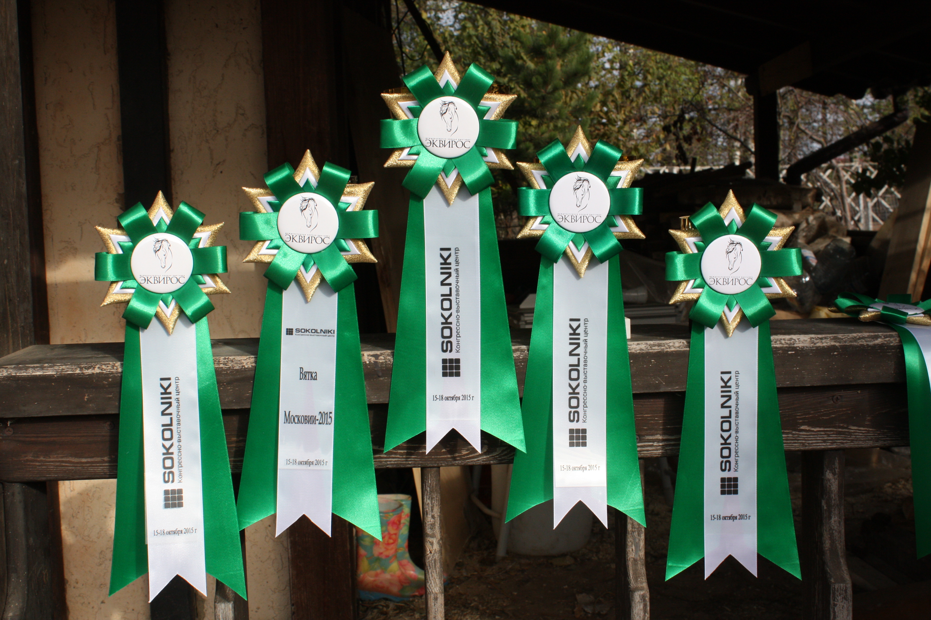 «Эквирос» 2015 осень — международная конная выставка